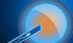 昆明助孕高薪招聘助孕妈妈,必读!美国试管婴儿流程中怎么把控胚胎质量?_深圳