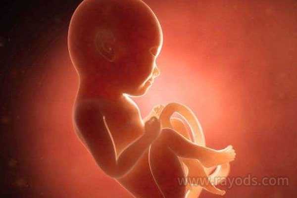昆明代孕生孩子问答,做试管移植多个胚胎成功率就会变高？或许有隐情_上海供